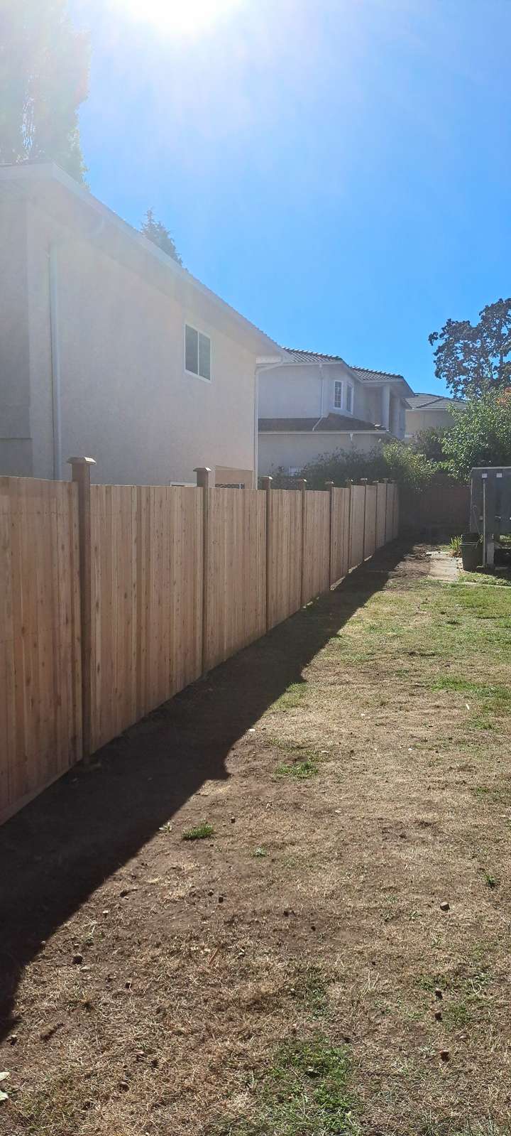 after installing cedar fence