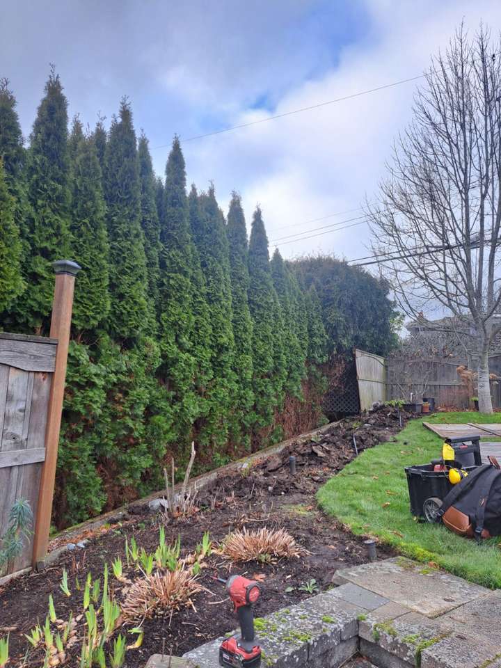 before repairing broken fence 